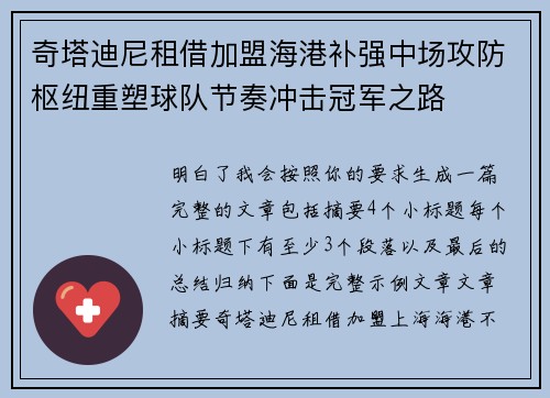 奇塔迪尼租借加盟海港补强中场攻防枢纽重塑球队节奏冲击冠军之路