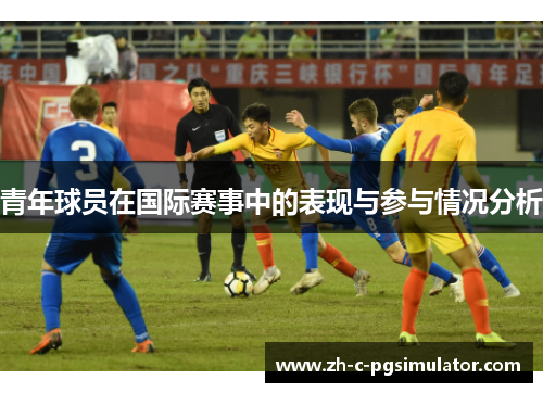 青年球员在国际赛事中的表现与参与情况分析