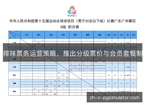 排球票务运营策略，推出分级票价与会员套餐制
